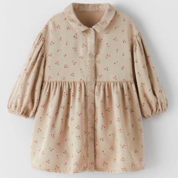 IN SEARCH OF: zara cherry print shirt dress - Picture 2 of 2